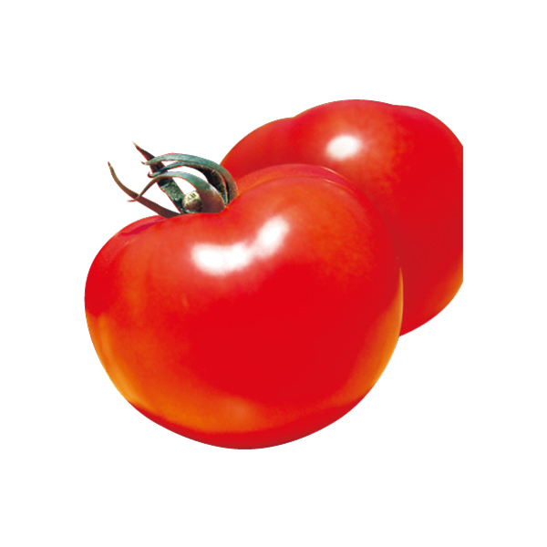 肉厚完熟大玉トマト