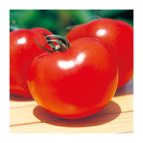 肉厚完熟トマト