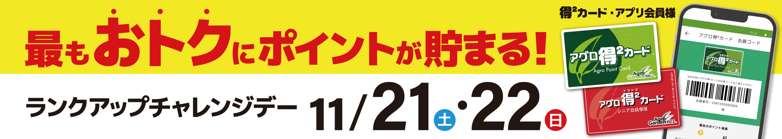 11月21日・22日　ランクアップチャレンジデー開催